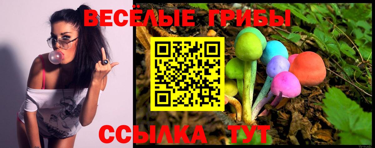 Карталы  Псилоцибиновые грибы Psilocybe  Вход с VPN  Псилоцибиновые грибы Cubensis 